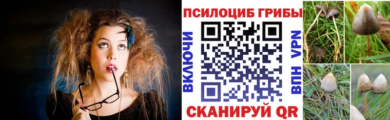 купить  цена  Смоленск  Галлюциногенные грибы Psilocybe 